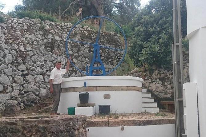 Safari & Boat Tour - Mountains & Dolphins - Highlights of the Land and Sea Experience