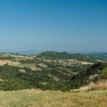 Safari Verde: nature, wildlife, and lunch in the woods - The Unique Experience of Riding a VM90 in Nature