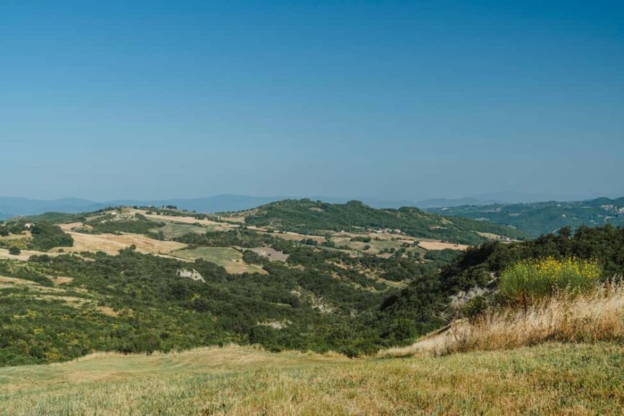 Safari Verde: nature, wildlife, and lunch in the woods - The Unique Experience of Riding a VM90 in Nature