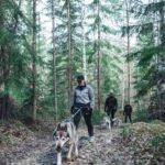 Sågmyra: Guided Husky Hiking Adventure - Mounting the Mountain: Hiking with Huskies