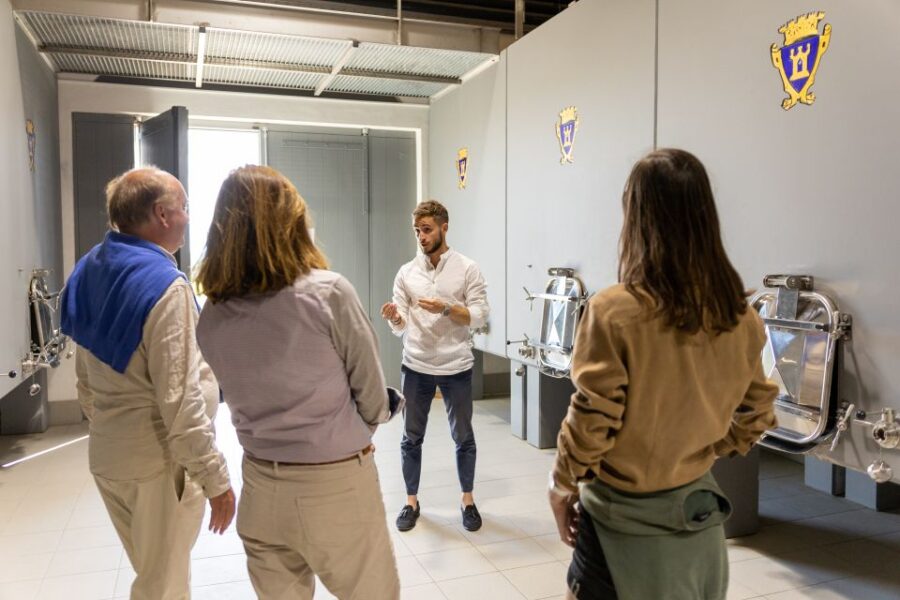 Saint-Émilion: Bordeaux Vineyard Tour and Wine Tasting - The Itinerary: Exploring Château Saint Georges and Saint-Émilion