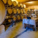 Saint-Émilion: Family Vineyard Visit with Wine Tasting - Purchase or Ship Wines Directly from the Estate