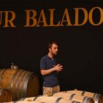 Saint-Emilion: Grand Cru Classé Cheese & Charcuterie Visit - Visiting Two Distinct Wineries: Classic and Modern Styles