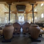 Saint-Emilion : half-day wine-tour into classified estates - From the Old Town to the Limestone Quarry Light Show