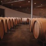 Saint-Émilion: Origin Tour - Tasting of 5 wines - Exploring the Estate and Its Bordeaux Wines