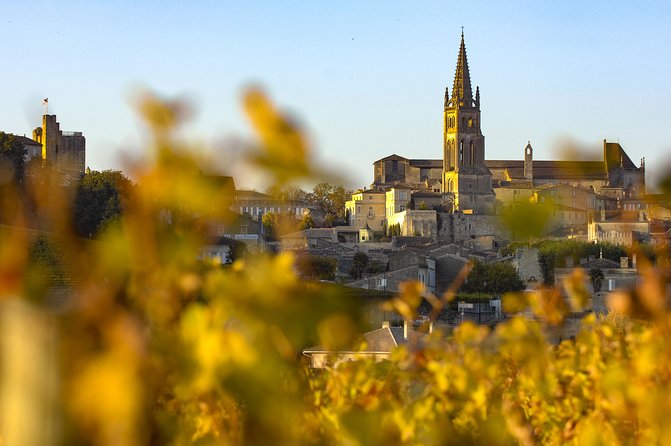 Saint-Emilion Private Full Day Wine Tour from Bordeaux - Visiting Three Prestigious Wineries with Expert Tastings