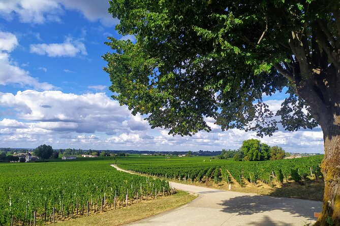 Saint-Emilion Private tour - Grand Cru Classé with an expert - Saint-Emilion’s UNESCO Heritage Charm
