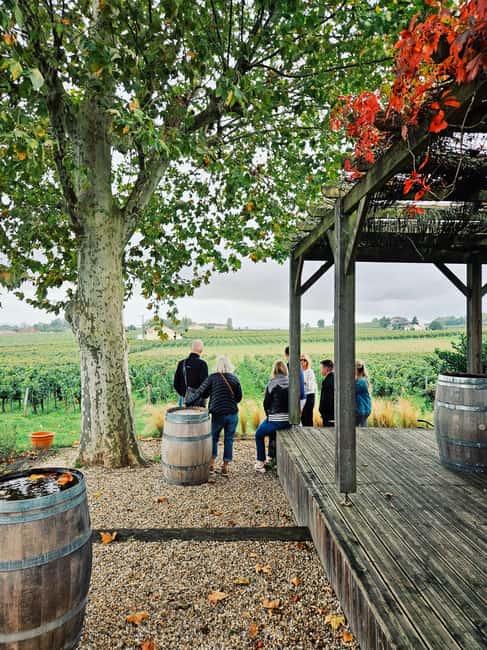 Saint-Émilion: Wine and chocolate pairing in the heart of a winery's vineyards - Key Points