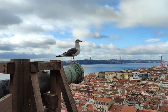 Saint George Castle Guided Tour from Lisbon - Exploring the Castle Walls and Fortress Features
