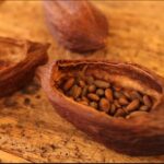 Saint-Germain The Original Chocolate Tasting Tour with Pastries and Macaron - Visiting Paris’s top chocolatiers and specialty stores