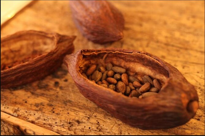 Saint-Germain The Original Chocolate Tasting Tour with Pastries and Macaron - Visiting Paris’s top chocolatiers and specialty stores