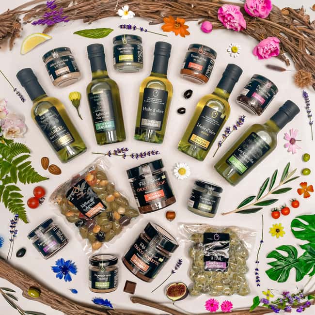 Saint Gilles: Tour of an olive oil mill in an organic olive grove - Inside the Eco-Friendly Oil Mill