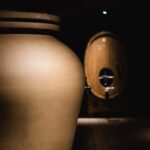 Saint Nicolas De Bourgueil Winery Tour And Wine Tasting - Discovering the Frédéric Mabileau Winemaking Philosophy