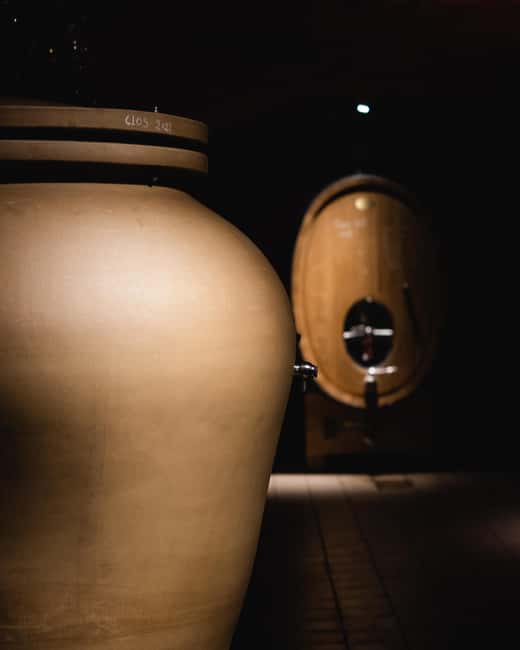 Saint Nicolas De Bourgueil Winery Tour And Wine Tasting - Discovering the Frédéric Mabileau Winemaking Philosophy