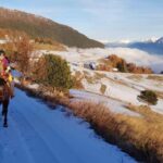 Saint-Pierre - Vetan: Guided horseback ride through the Alpine mountains - The Scenic Route Through Forests and Mountain Views