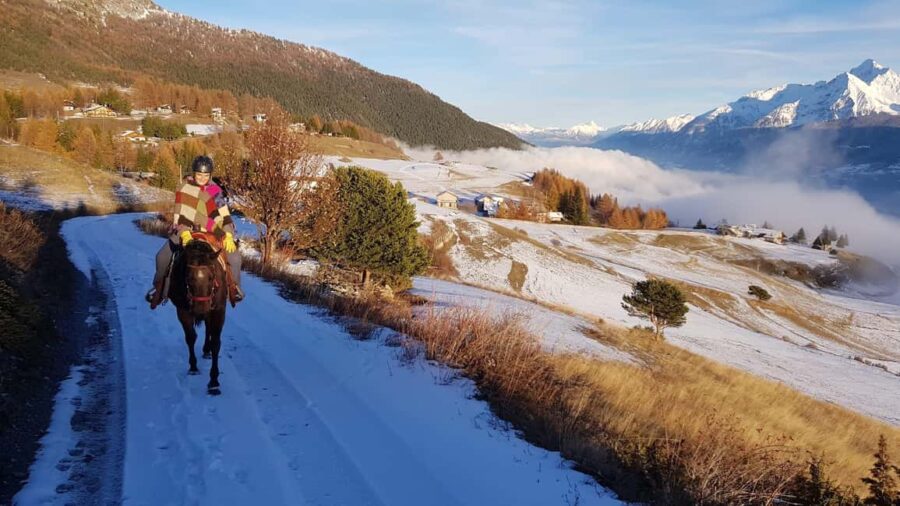 Saint-Pierre - Vetan: Guided horseback ride through the Alpine mountains - The Scenic Route Through Forests and Mountain Views