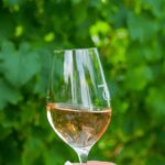 Saint-Tropez: Small Group Wine Tour - The Tour Starts at Allée du Quai de l’Epi in Saint-Tropez