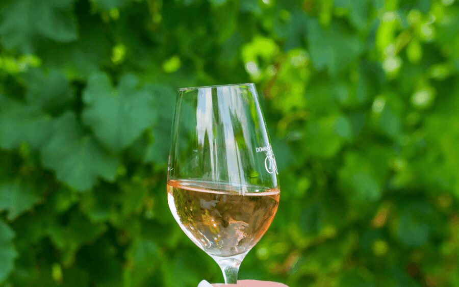 Saint-Tropez: Small Group Wine Tour - The Tour Starts at Allée du Quai de l’Epi in Saint-Tropez