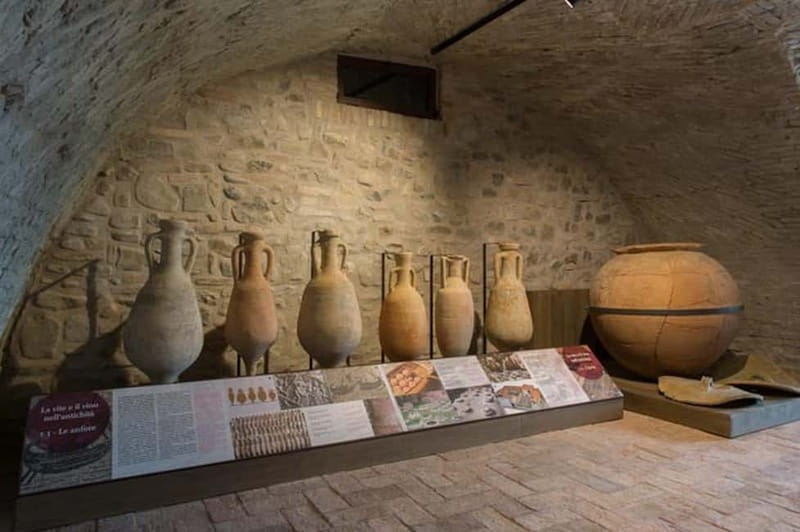 Sala Baganza: Wine Museum Ticket - Cellar Tour Inside the Castle of Sala Baganza