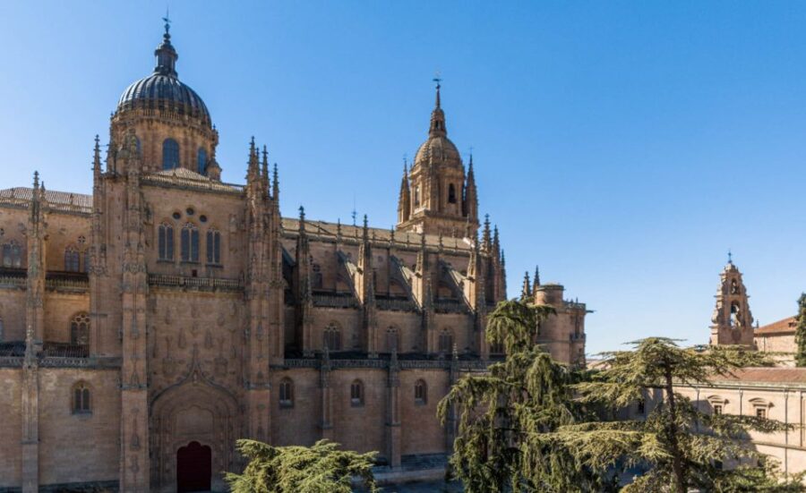 Salamanca: Cathedral of Salamanca Ticket with Audio Guide - Marvel at the Architecture of the Old and New Cathedrals