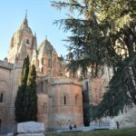 Salamanca: Private Sightseeing & Cultural Walking Tour - Highlights: From Medieval Streets to Elegant Palaces