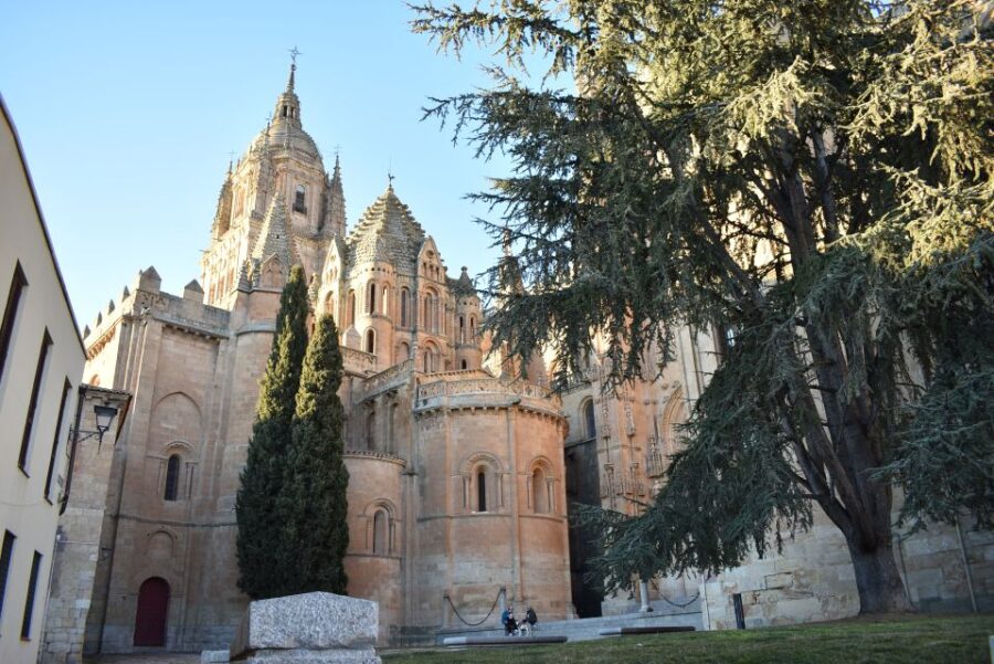 Salamanca: Private Sightseeing & Cultural Walking Tour - Highlights: From Medieval Streets to Elegant Palaces