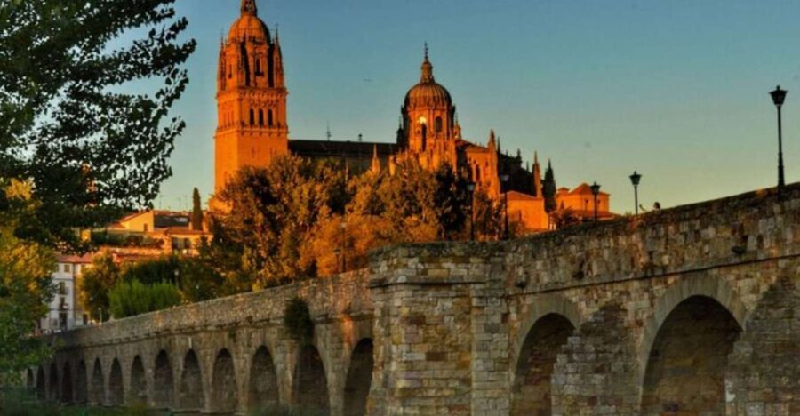 Salamanca: Private Walking Tour with a Local Guide - Starting from Hotel Pickup in Salamanca