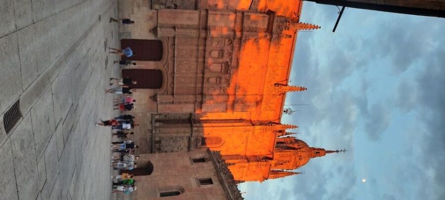 Salamanca: University and Colleges Walking Tour (Private) - Key Points
