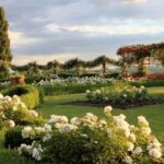 Salignac-Eyvigues: Gardens of Eyrignac Manor Entry Ticket - Navigating the Gardens with a Multilingual Map