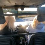 Salou: Buggy Safari with Hotel Transfer - What’s Included and What to Prepare For