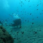 Salou: Scuba Diving for Beginners - Exploring the Beach and the Underwater Environment of Salou