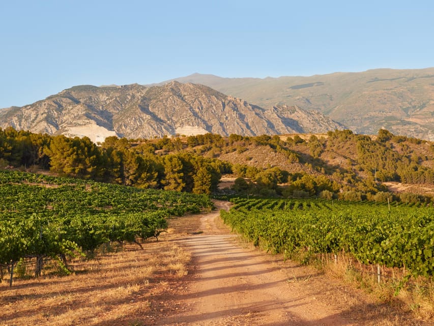 Salou: Siurana Castle and Cornudella Winery Tour - Pickup and Transportation from Salou