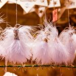 Salzburg Christmas Market & City Tour - Discovering Erzabtei Stift St. Peter and Salzburg’s Musical Heritage