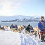 Sami Culture and Short Reindeer Sledding from Tromso - Feeding Reindeer in the Arctic Wilderness