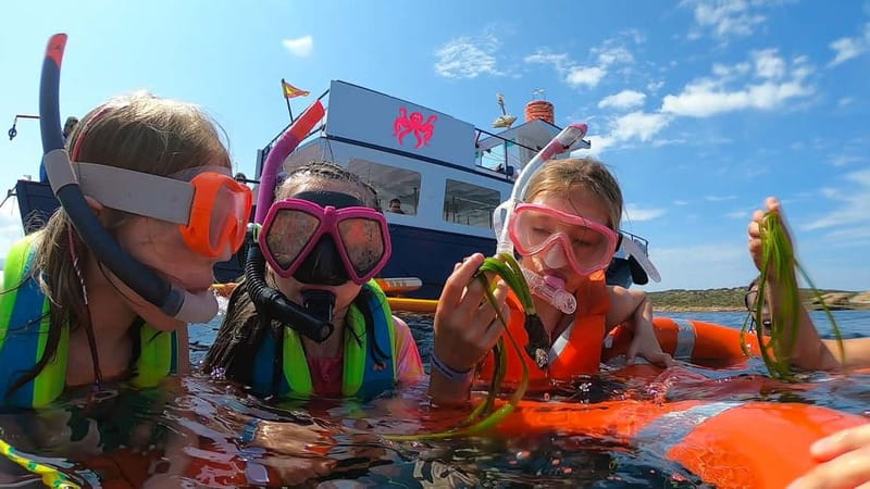 San Antonio: Family Boat Trip to Conillera island - Departure Details and Meeting Points in San Antonio