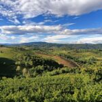 San Floriano del Collio: Wine, Food, and Castle Tour - The Unique Role of Contessa Isabella Formentini