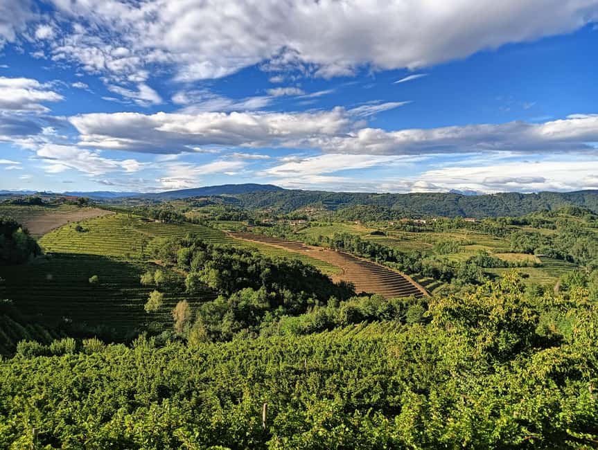 San Floriano del Collio: Wine, Food, and Castle Tour - The Unique Role of Contessa Isabella Formentini
