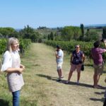 San Gimignano: Premium Wine Tour with Lunch - Key Points
