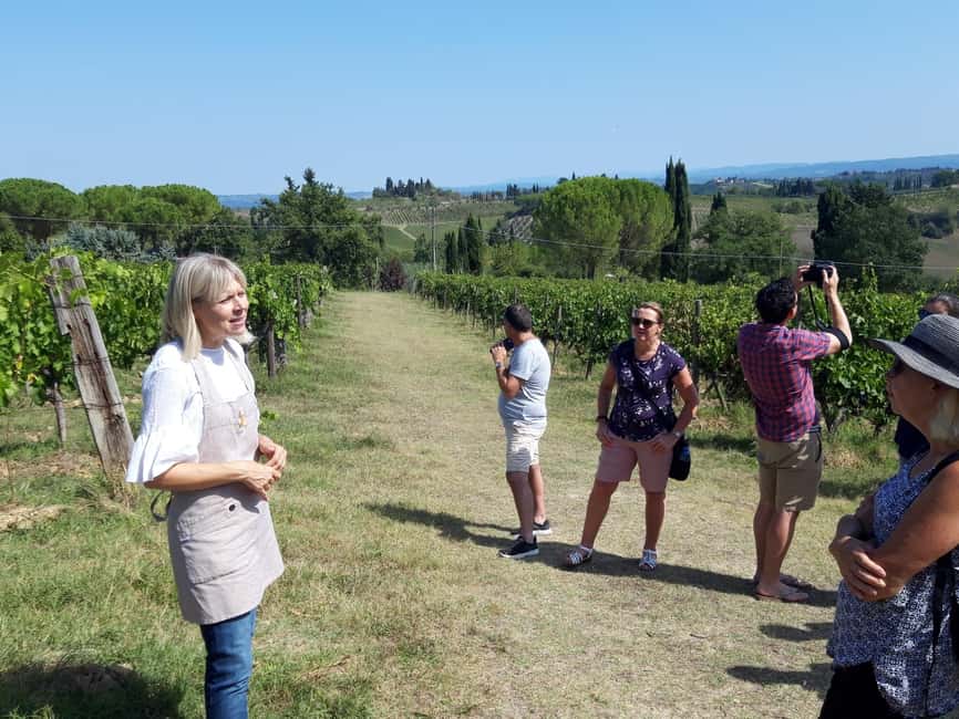 San Gimignano: Premium Wine Tour with Lunch - Key Points