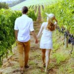 San Gimignano: Vineyard Walk with Wine Tasting in winery - Meet at the Tenuta Torciano Winery