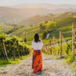San Gimignano Wine Experience - Scenic Drive through the Tuscan Countryside to San Gimignano and Chianti