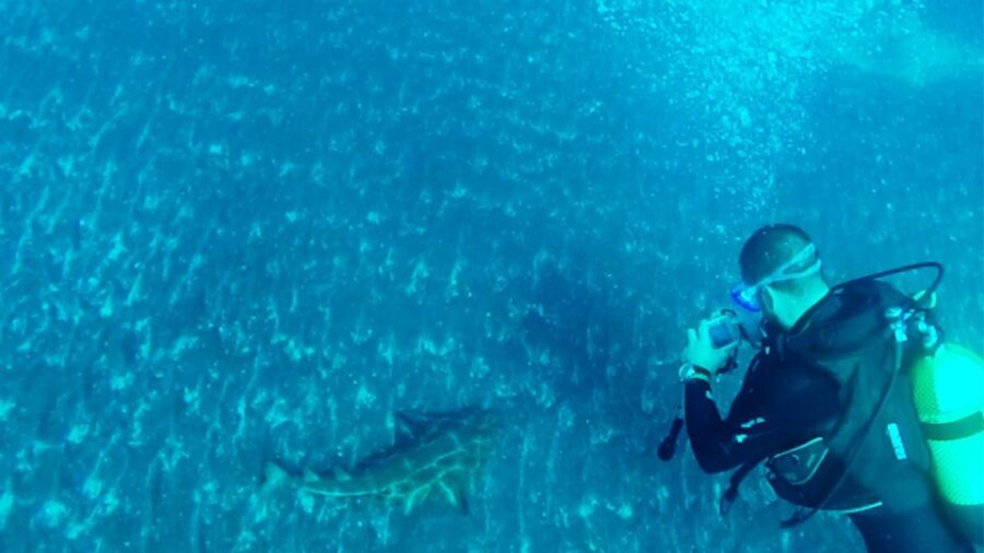 San Miguel de Abona: 2Dive Package - The Unique Starting Point in Golf del Sur