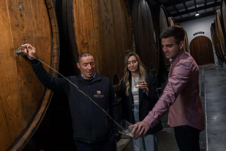 San Sebastian: Culture and Gastronomy Guided E-Bike Tour - The Tour Start at Basque Country Cycling