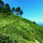 San Sebastián: Hike in the North Way of Saint James - Guided Hike along the North Way of Saint James