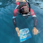 San Terenzo: Portovenere Natural Park Snorkeling Trip - Convenient Meeting Point and Transportation Options