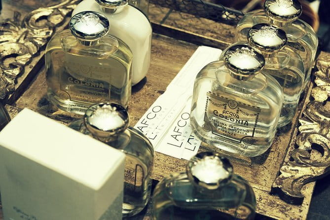 Santa Maria Novella Private Tour - Deep Dive into Renaissance Masterpieces