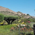 Santa Pola, Gran Alacan, Urbanova: Guided Wine Tasting Tour - How the Tour Starts and Ends