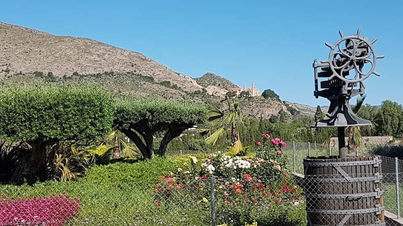 Santa Pola, Gran Alacan, Urbanova: Guided Wine Tasting Tour - How the Tour Starts and Ends