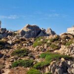 Santa Teresa Gallura: Valle della Luna hiking - From the Meeting Point in Cala Spinosa to the Scenic Trails