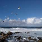 Santiago de Compostela: Finisterre, Muxía & Costa da Morte - Witnessing the Fervenza de Ezaro Waterfall